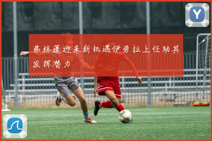 弗林蓬迎来新机遇伊劳拉上任助其发挥潜力