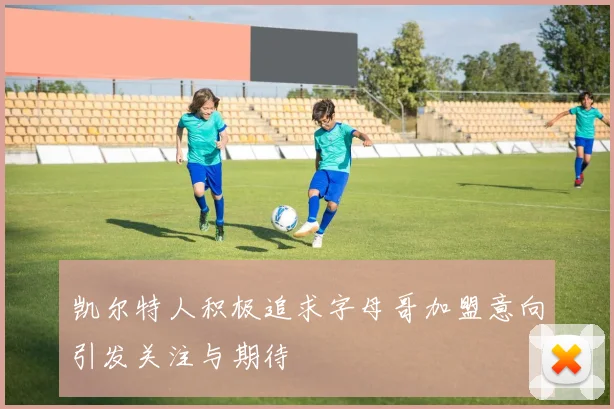 凯尔特人积极追求字母哥加盟意向引发关注与期待