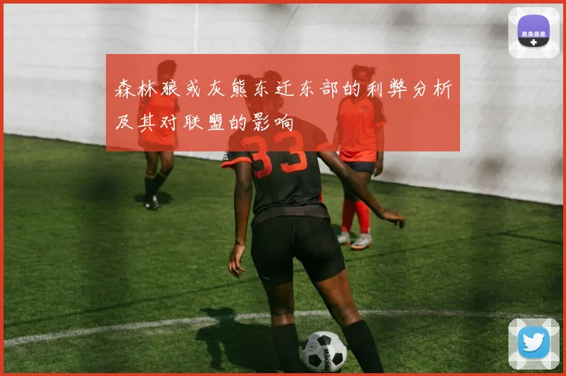 森林狼或灰熊东迁东部的利弊分析及其对联盟的影响